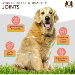 Natural Dog Company Hip & Joint Dog Supplement, 90 Count -Pet Wellness 354347 PT3. AC SS1800 V1701881406
