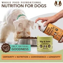 Natural Dog Company Hip & Joint Dog Supplement, 90 Count -Pet Wellness 354347 PT5. AC SS1800 V1701882136