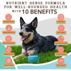 Natural Dog Company Multivitamin Dog Supplement, 90 Count -Pet Wellness 354349 PT2. AC SS1800 V1701881466
