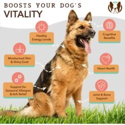 Natural Dog Company Wild Alaskan Salmon Oil Liquid Skin & Coat Supplement For Dogs -Pet Wellness 354351 PT2. AC SS1800 V1701881354