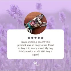 Lillian Ruff Waterless Lavender Dog & Cat Shampoo, 16-oz Bottle -Pet Wellness 354498 PT3. AC SS1800 V1640040782