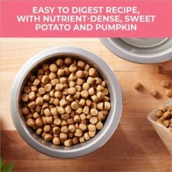 Nature's Recipe Grain-Free Salmon, Sweet Potato & Pumpkin Recipe Dry Dog Food -Pet Wellness 355834 PT2. AC SS1800 V1640643409