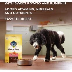 Nature's Recipe Grain-Free Salmon, Sweet Potato & Pumpkin Recipe Dry Dog Food -Pet Wellness 355834 PT4. AC SS1800 V1640645806