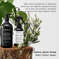 Smith&burton Dermal Relief 2-IN-1 Dog & Cat Conditioning Shampoo, 16.9-oz Bottle 10 Smith&burton Dermal Relief 2-IN-1 Dog & Cat Conditioning Shampoo, 16.9-oz Bottle -Pet Wellness 356019 PT3. AC SS1800 V1662062545