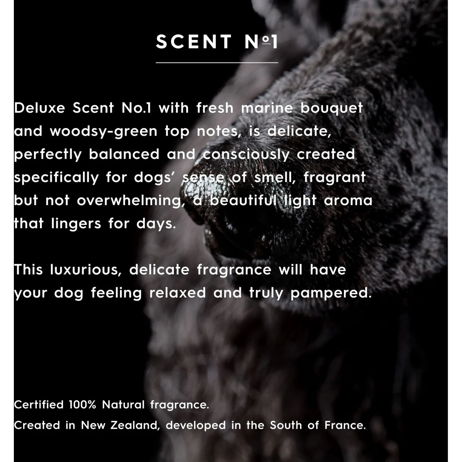 Smith&burton Hydrating Dog & Cat Conditioner, Scent No.1 4 Smith&burton Hydrating Dog & Cat Conditioner, Scent No.1 - Image 4