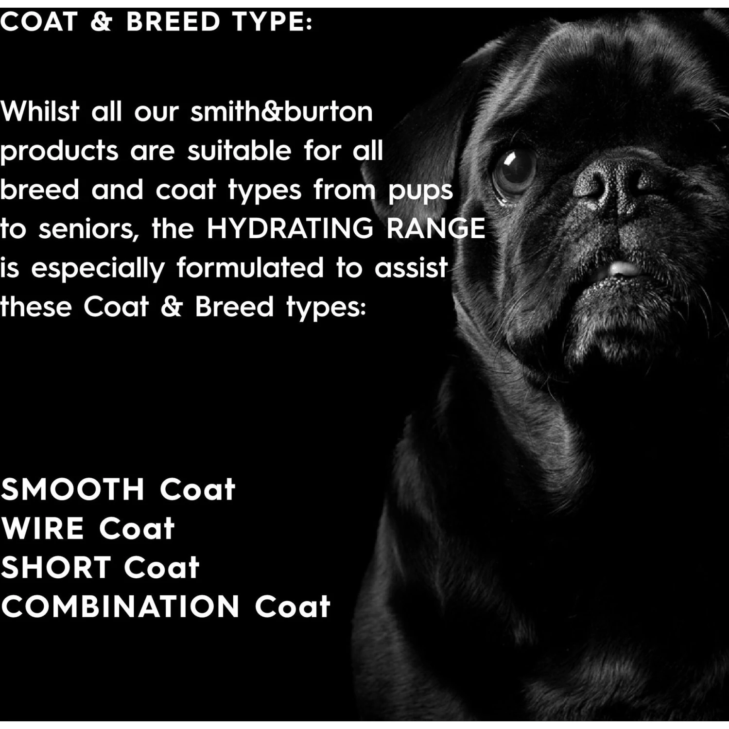 Smith&burton Hydrating Dog & Cat Shampoo, Scent No.1 7 Smith&burton Hydrating Dog & Cat Shampoo, Scent No.1 - Image 7