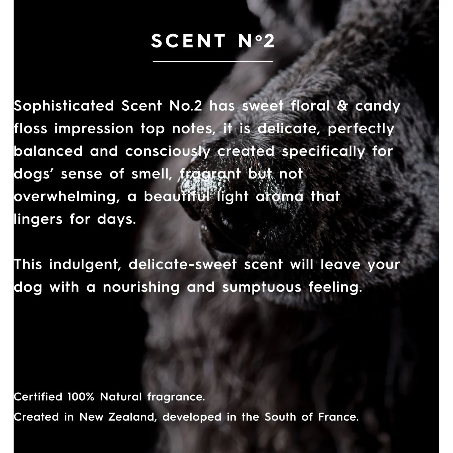 Smith&burton Nourishing Dog Conditioner, Scent No.3 4 Smith&burton Nourishing Dog Conditioner, Scent No.3 - Image 4