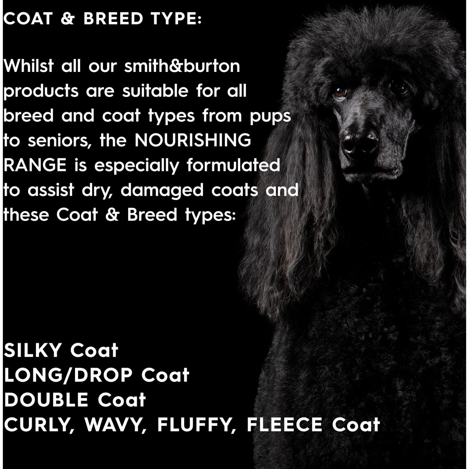 Smith&burton Nourishing Dog & Cat Shampoo, Scent No.3 7 Smith&burton Nourishing Dog & Cat Shampoo, Scent No.3 - Image 7