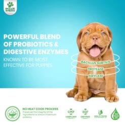 Doggie Dailies Puppy Probiotics For Puppies With Digestive Enzymes, Promotes Digestive Health, Supports Immune System & Overall Development 9 Doggie Dailies Puppy Probiotics For Puppies With Digestive Enzymes, Promotes Digestive Health, Supports Immune System & Overall Development -Pet Wellness 356164 PT2. AC SS1800 V1640200891