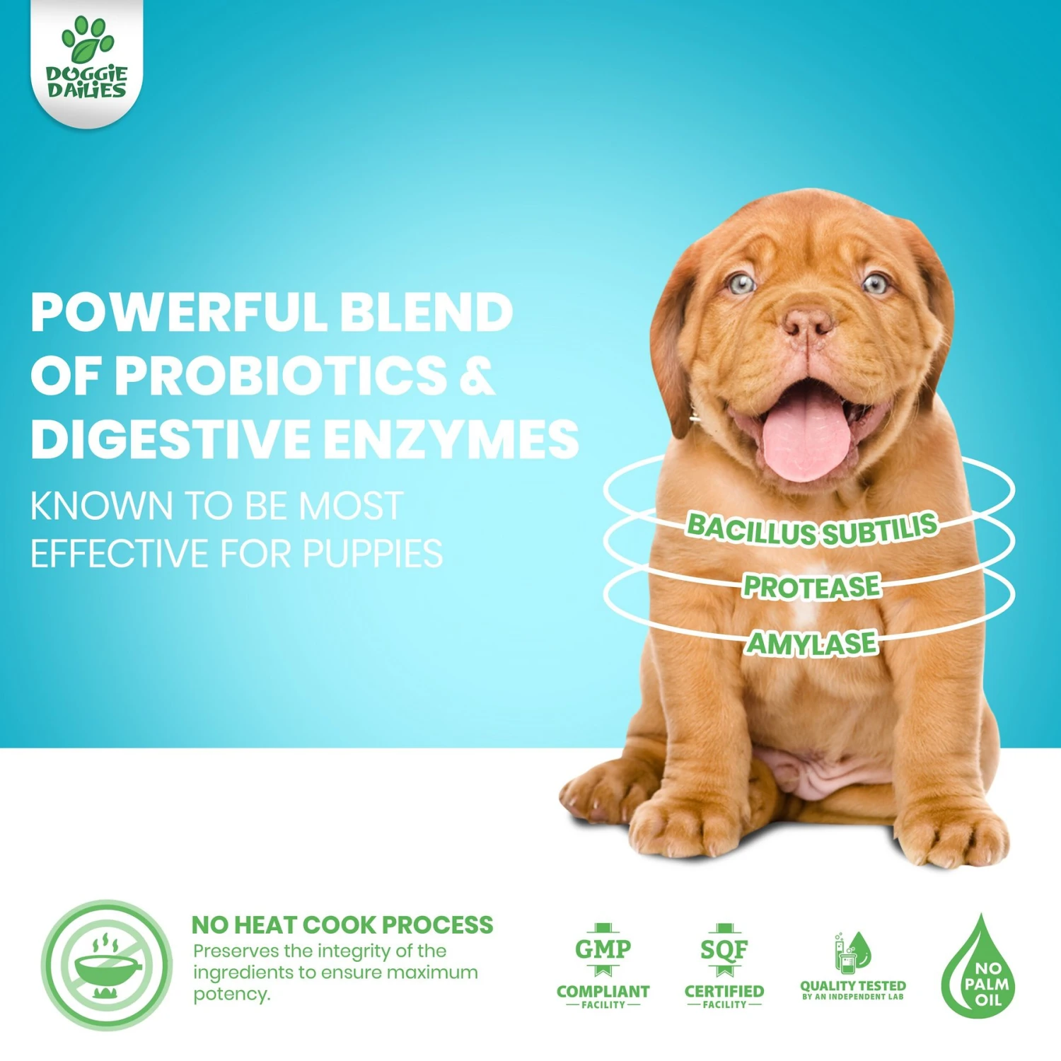Doggie Dailies Puppy Probiotics For Puppies With Digestive Enzymes, Promotes Digestive Health, Supports Immune System & Overall Development 3 Doggie Dailies Puppy Probiotics For Puppies With Digestive Enzymes, Promotes Digestive Health, Supports Immune System & Overall Development - Image 3
