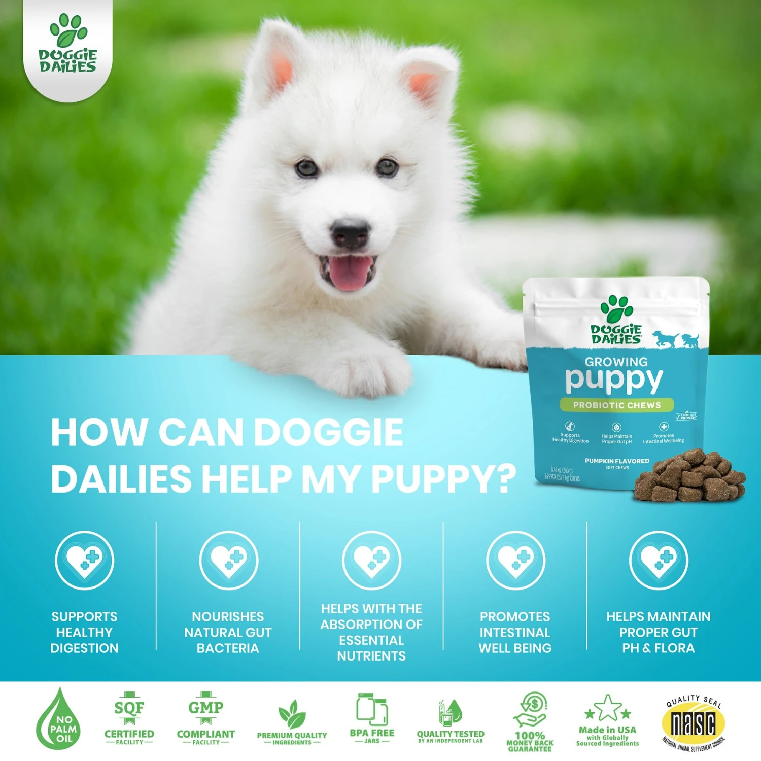 Doggie Dailies Puppy Probiotics For Puppies With Digestive Enzymes, Promotes Digestive Health, Supports Immune System & Overall Development 4 Doggie Dailies Puppy Probiotics For Puppies With Digestive Enzymes, Promotes Digestive Health, Supports Immune System & Overall Development - Image 4