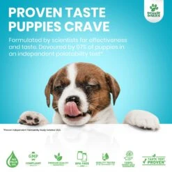 Doggie Dailies Puppy Probiotics For Puppies With Digestive Enzymes, Promotes Digestive Health, Supports Immune System & Overall Development 11 Doggie Dailies Puppy Probiotics For Puppies With Digestive Enzymes, Promotes Digestive Health, Supports Immune System & Overall Development -Pet Wellness 356164 PT4. AC SS1800 V1640206306