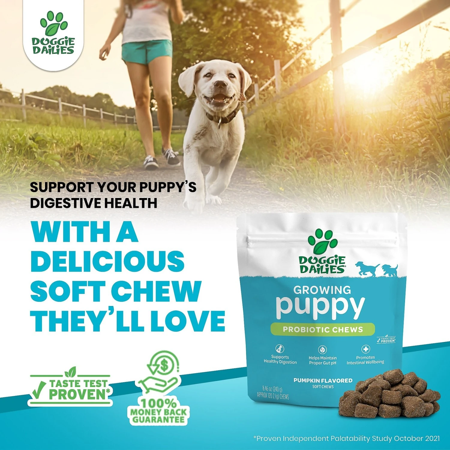 Doggie Dailies Puppy Probiotics For Puppies With Digestive Enzymes, Promotes Digestive Health, Supports Immune System & Overall Development 6 Doggie Dailies Puppy Probiotics For Puppies With Digestive Enzymes, Promotes Digestive Health, Supports Immune System & Overall Development - Image 6