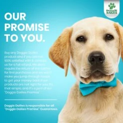 Doggie Dailies Puppy Probiotics For Puppies With Digestive Enzymes, Promotes Digestive Health, Supports Immune System & Overall Development 13 Doggie Dailies Puppy Probiotics For Puppies With Digestive Enzymes, Promotes Digestive Health, Supports Immune System & Overall Development -Pet Wellness 356164 PT6. AC SS1800 V1640213216