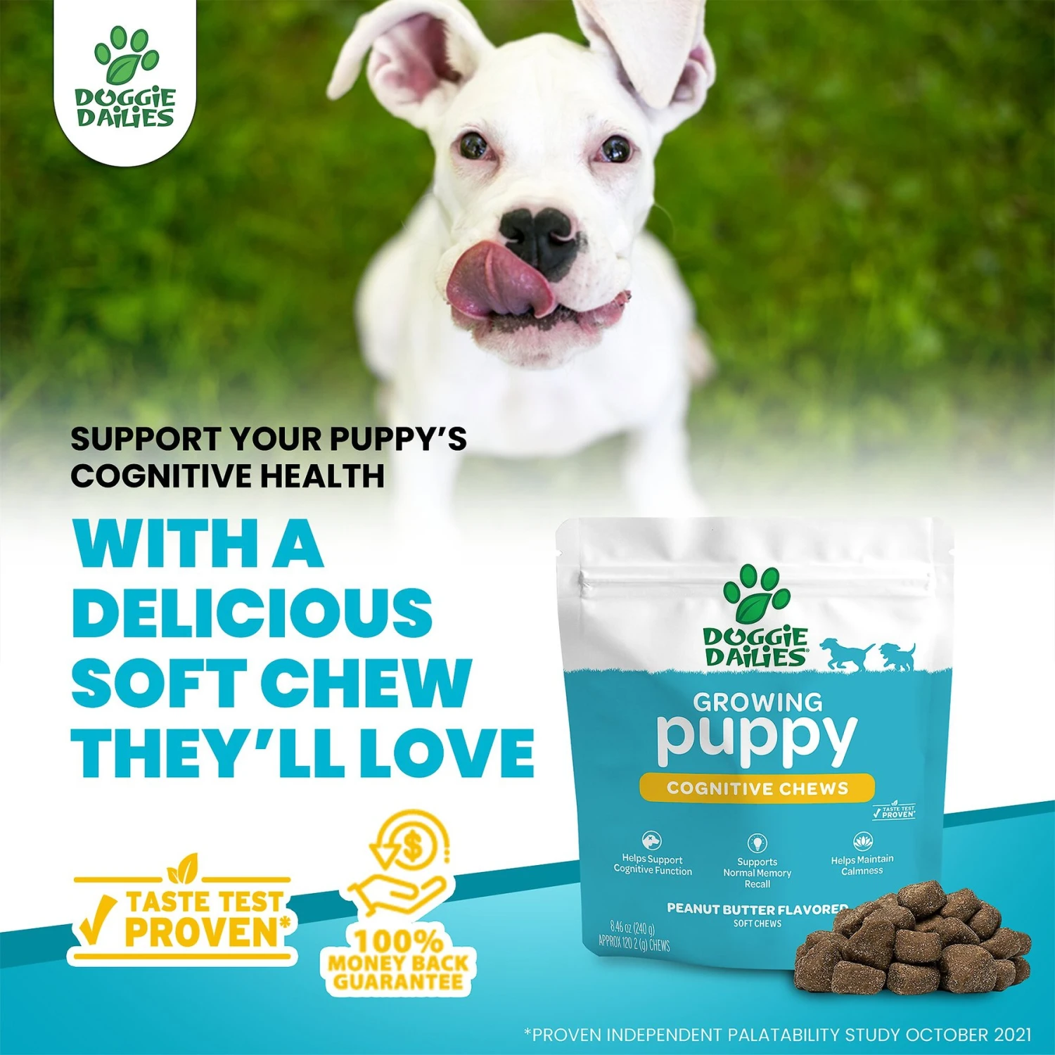 Doggie Dailies Cognitive Puppy Chews Vitamins With DHA, Selenium, Organic Ashwagandha & Antioxidants To Support Brain Health, Nervous System Function & Promote Calmness 2 Doggie Dailies Cognitive Puppy Chews Vitamins With DHA, Selenium, Organic Ashwagandha & Antioxidants To Support Brain Health, Nervous System Function & Promote Calmness - Image 2