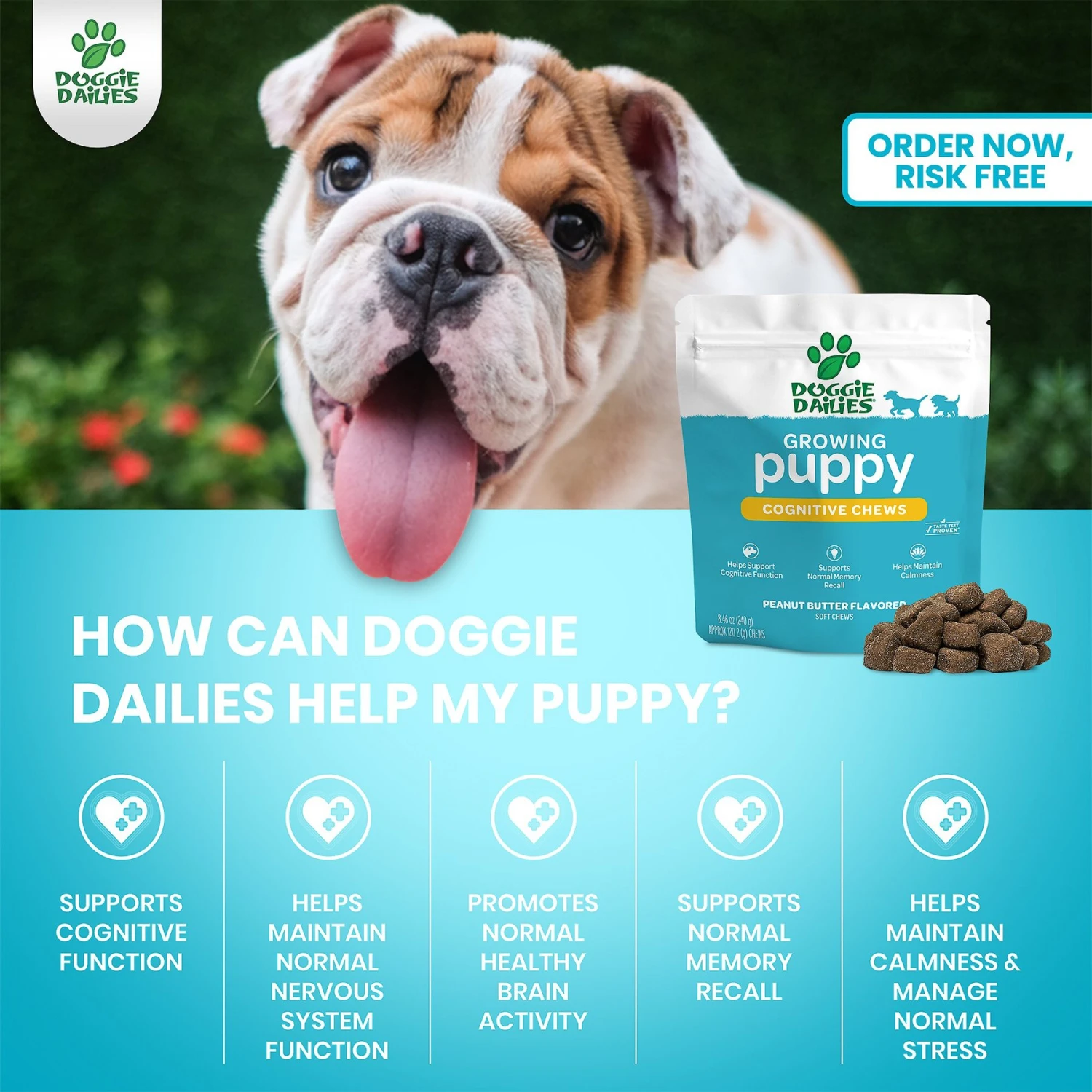 Doggie Dailies Cognitive Puppy Chews Vitamins With DHA, Selenium, Organic Ashwagandha & Antioxidants To Support Brain Health, Nervous System Function & Promote Calmness 3 Doggie Dailies Cognitive Puppy Chews Vitamins With DHA, Selenium, Organic Ashwagandha & Antioxidants To Support Brain Health, Nervous System Function & Promote Calmness - Image 3
