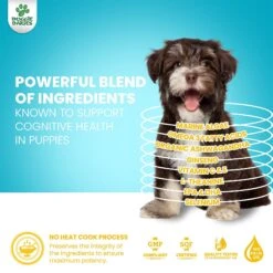Doggie Dailies Cognitive Puppy Chews Vitamins With DHA, Selenium, Organic Ashwagandha & Antioxidants To Support Brain Health, Nervous System Function & Promote Calmness 10 Doggie Dailies Cognitive Puppy Chews Vitamins With DHA, Selenium, Organic Ashwagandha & Antioxidants To Support Brain Health, Nervous System Function & Promote Calmness -Pet Wellness 356166 PT3. AC SS1800 V1650012987