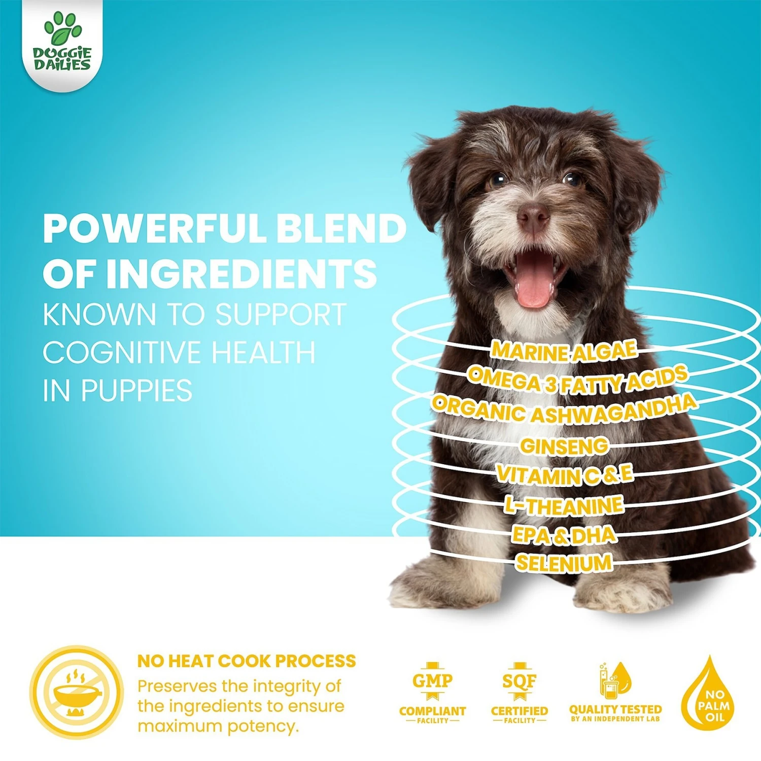 Doggie Dailies Cognitive Puppy Chews Vitamins With DHA, Selenium, Organic Ashwagandha & Antioxidants To Support Brain Health, Nervous System Function & Promote Calmness 4 Doggie Dailies Cognitive Puppy Chews Vitamins With DHA, Selenium, Organic Ashwagandha & Antioxidants To Support Brain Health, Nervous System Function & Promote Calmness - Image 4