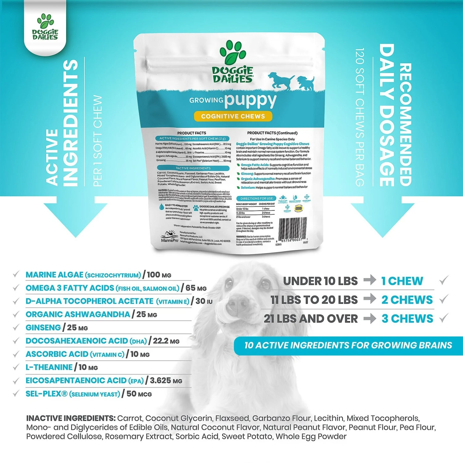 Doggie Dailies Cognitive Puppy Chews Vitamins With DHA, Selenium, Organic Ashwagandha & Antioxidants To Support Brain Health, Nervous System Function & Promote Calmness 7 Doggie Dailies Cognitive Puppy Chews Vitamins With DHA, Selenium, Organic Ashwagandha & Antioxidants To Support Brain Health, Nervous System Function & Promote Calmness - Image 7