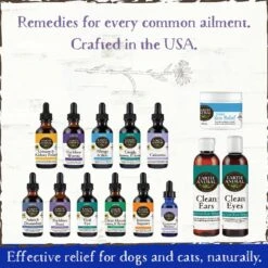 Earth Animal Natural Remedies Emotional Balance Liquid Homeopathic Calming Supplement For Dogs & Cats, 1-oz Bottle -Pet Wellness 356252 PT3. AC SS1800 V1646866365