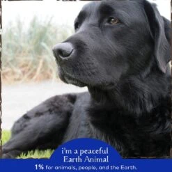 Earth Animal Natural Remedies Emotional Balance Liquid Homeopathic Calming Supplement For Dogs & Cats, 1-oz Bottle -Pet Wellness 356252 PT4. AC SS1800 V1646867218