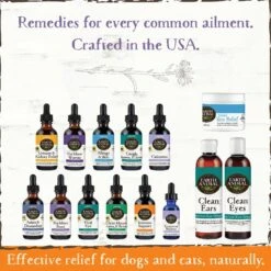 Earth Animal Natural Remedies Immune Support Liquid Homeopathic Immune Supplement For Dogs & Cats, 2-oz Bottle -Pet Wellness 356254 PT3. AC SS1800 V1646867815