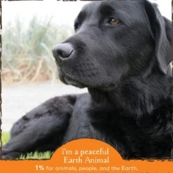 Earth Animal Natural Remedies Immune Support Liquid Homeopathic Immune Supplement For Dogs & Cats, 2-oz Bottle -Pet Wellness 356254 PT4. AC SS1800 V1646869112