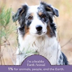 Earth Animal Healthy Digestion Powder Digestive Nutritional Probiotic Supplement For Dogs & Cats, 8-oz Container -Pet Wellness 356264 PT4. AC SS1800 V1646868856