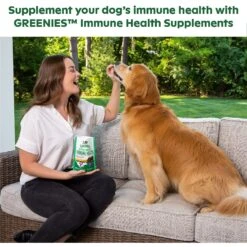 Greenies Immune Health Supplements Chicken Flavor Dog Soft Chews -Pet Wellness 357062 PT4. AC SS1800 V1640643719