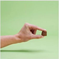 Greenies Hip & Joint Support Chicken Flavor Soft Chew Supplement For Dogs -Pet Wellness 357064 PT2. AC SS1800 V1688999752