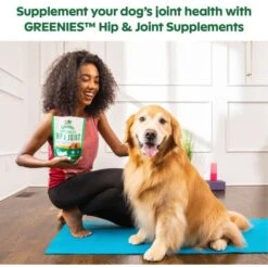Greenies Hip & Joint Support Chicken Flavor Soft Chew Supplement For Dogs -Pet Wellness 357064 PT8. AC SS1800 V1688995174
