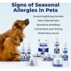 Vetnique Labs Dermabliss Omega & Skin Salmon Flavored Soft Chew Skin & Coat Supplement For Dogs -Pet Wellness 358579 PT7. AC SS1800 V1698091463