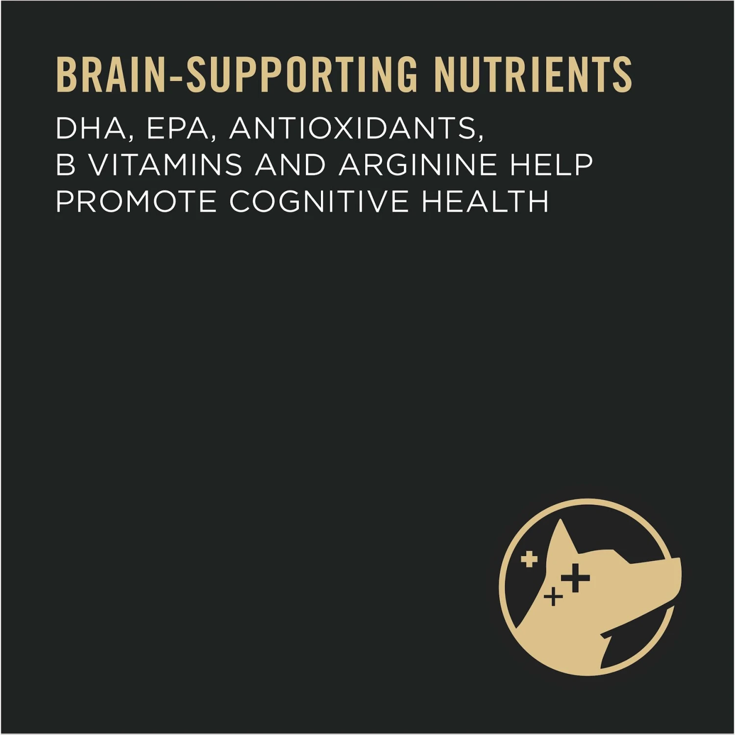 Purina Pro Plan Calm & Balanced Small Breed Chicken & Rice Formula Dog Dry Food 5 Purina Pro Plan Calm & Balanced Small Breed Chicken & Rice Formula Dog Dry Food - Image 5