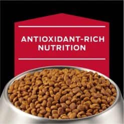 Purina Pro Plan Veterinary Diets CC CardioCare High Protein Chicken Flavor Dry Dog Food -Pet Wellness 362191 PT8. AC SS1800 V1674676642