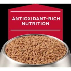 Purina Pro Plan Veterinary Diets CC Cardiocare Canine Formula Chicken Flavor Canned Dog Food, 13-oz, Case Of 12 -Pet Wellness 362729 PT7. AC SS1800 V1700160211