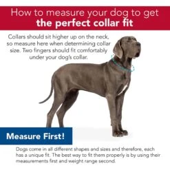 SecureAway Dog Flea Collar Protector -Pet Wellness 363894 PT6. AC SS1800 V1643253464