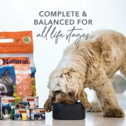 K9 Natural Hoki & Beef Grain-Free Canned Dog Food -Pet Wellness 363951 PT2. AC SS1800 V1643672229