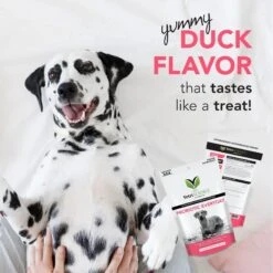 VetriScience Probiotic Everyday Duck Flavored Digestive Supplement For Dogs 7 VetriScience Probiotic Everyday Duck Flavored Digestive Supplement For Dogs -Pet Wellness 364407 PT2. AC SS1800 V1659634761