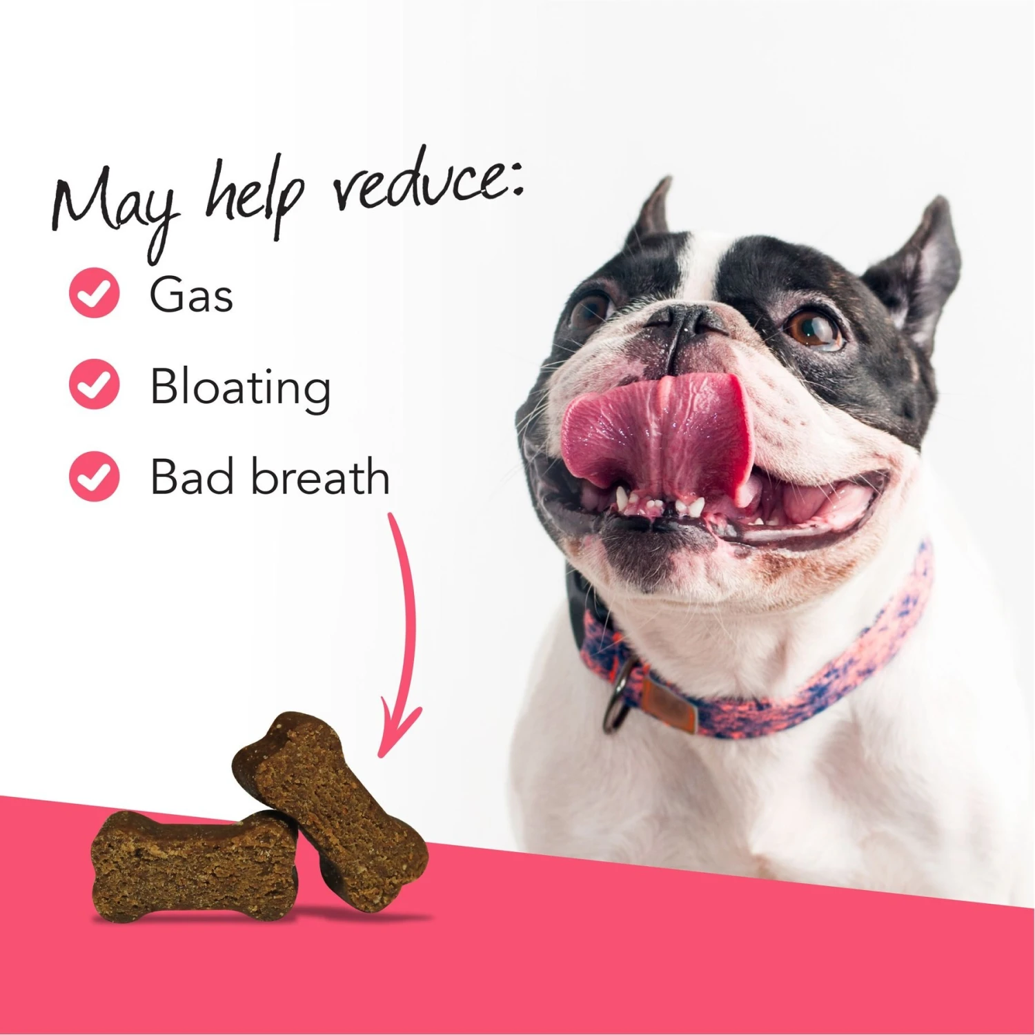 VetriScience Probiotic Everyday Duck Flavored Digestive Supplement For Dogs 4 VetriScience Probiotic Everyday Duck Flavored Digestive Supplement For Dogs - Image 4