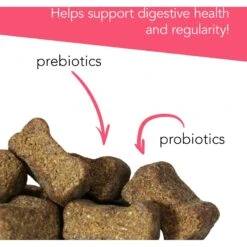 VetriScience Probiotic Everyday Duck Flavored Digestive Supplement For Dogs 9 VetriScience Probiotic Everyday Duck Flavored Digestive Supplement For Dogs -Pet Wellness 364407 PT4. AC SS1800 V1659634767