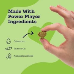 Moe’s Healthy Pets Chicken Flavor Immunity Bites Chews For Dogs, 90 Count -Pet Wellness 365305 PT5. AC SS1800 V1657657338