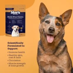 Moe’s Healthy Pets Chicken Flavor Multi-Plus Bites Chews For Dogs, 90 Count -Pet Wellness 365307 PT5. AC SS1800 V1657657338