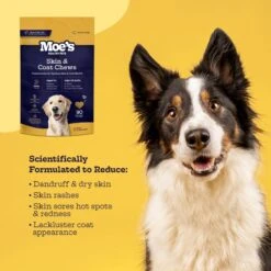 Moe’s Healthy Pets Salmon Flavor Skin & Coat Bites Chews For Dogs, 90 Count -Pet Wellness 365309 PT3. AC SS1800 V1658217824