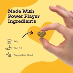 Moe’s Healthy Pets Salmon Flavor Skin & Coat Bites Chews For Dogs, 90 Count -Pet Wellness 365309 PT5. AC SS1800 V1657657338