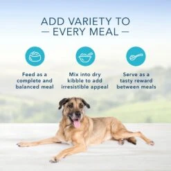 Zesty Paws Advanced Mobility Bites Chicken Flavored Soft Chews Glucosamine Hip & Joint Supplement For Senior Dogs & Blue Buffalo Homestyle Recipe Senior Chicken Dinner With Garden Vegetables Canned Dog Food -Pet Wellness 365441 PT4. AC SS1800 V1703799084