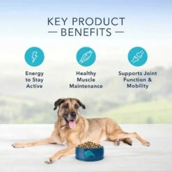NaturVet Senior Wellness Hip & Joint Advanced Glucosamine, Chondroitin & MSM Plus Omegas Dog Supplement & Blue Buffalo Life Protection Formula Senior Chicken & Brown Rice Recipe Dry Dog Food -Pet Wellness 365447 PT8. AC SS1800 V1644021984