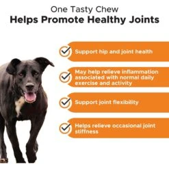 PetHonesty Duck Flavored Soft Chews Multivitamin For Senior Dogs & PetHonesty Hip + Joint Health Turmeric Pumpkin & Coconut Flavored Soft Chews Joint Supplement For Dogs -Pet Wellness 365449 PT7. AC SS1800 V1677605592