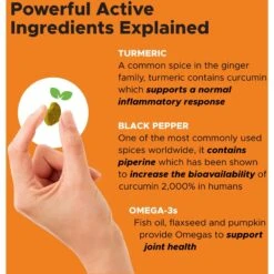 PetHonesty Duck Flavored Soft Chews Multivitamin For Senior Dogs & PetHonesty Hip + Joint Health Turmeric Pumpkin & Coconut Flavored Soft Chews Joint Supplement For Dogs -Pet Wellness 365449 PT8. AC SS1800 V1677605471