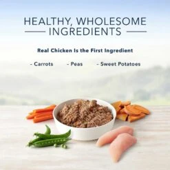 PetHonesty Duck Flavored Soft Chews Multivitamin For Senior Dogs & Blue Buffalo Homestyle Recipe Senior Chicken Dinner With Garden Vegetables Canned Dog Food -Pet Wellness 365452 PT8. AC SS1800 V1644016011