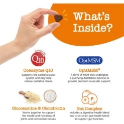 Zesty Paws 8-in-1 Bites Peanut Butter Flavored Soft Chews Multivitamin For Dogs & Purina Pro Plan Adult Sensitive Skin & Stomach Salmon & Rice Formula Dry Dog Food 12 Zesty Paws 8-in-1 Bites Peanut Butter Flavored Soft Chews Multivitamin For Dogs & Purina Pro Plan Adult Sensitive Skin & Stomach Salmon & Rice Formula Dry Dog Food -Pet Wellness 365455 PT3. AC SS1800 V1701891541